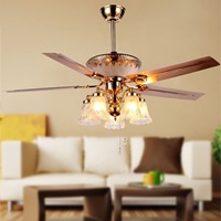 RainierLight Modern Ceiling Fan Remote Control 5 Reversible Metal Blades 5 Frosted Glass Light Kit for Indoor