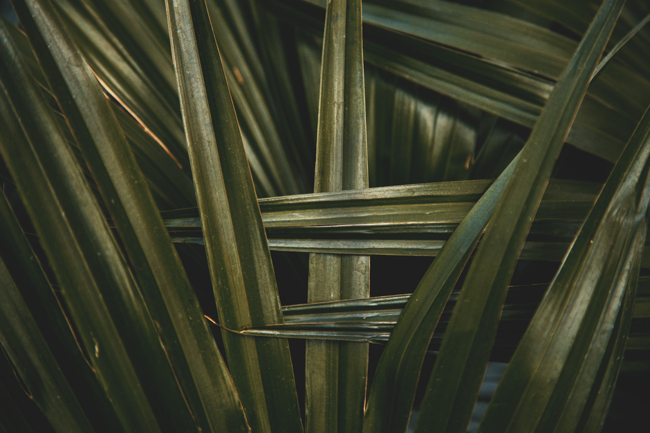 Palm Leaf Fan Blades vs Wooden Fan Blades — Wooden Blades