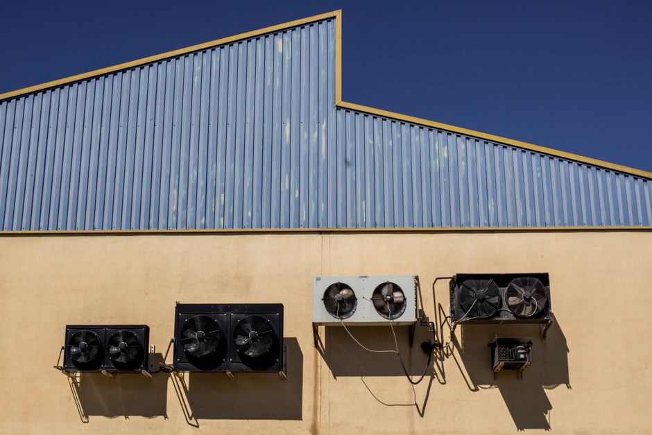 Ceiling Fan vs Exhaust Fan — What is an Exhaust Fan?